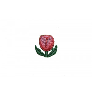 Tulipán