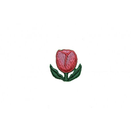 Tulipán