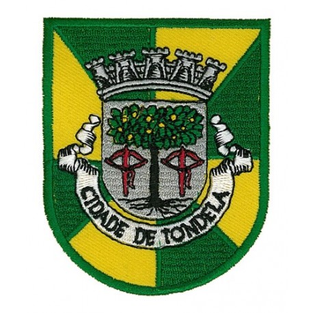 Cidade de Tondela