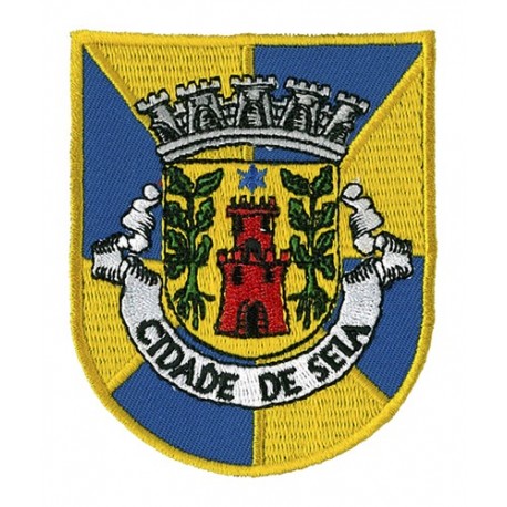 Cidade de Seia