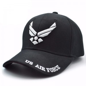 Gorra de la Fuerza Aérea de...